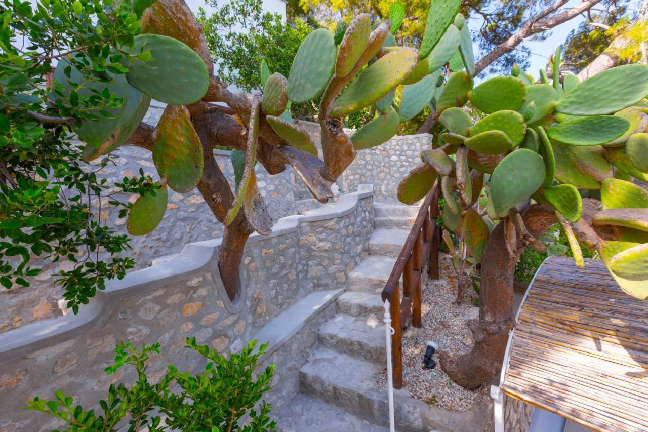 Faraglionensis Monaconehouse Villa Capri Ngoại thất bức ảnh